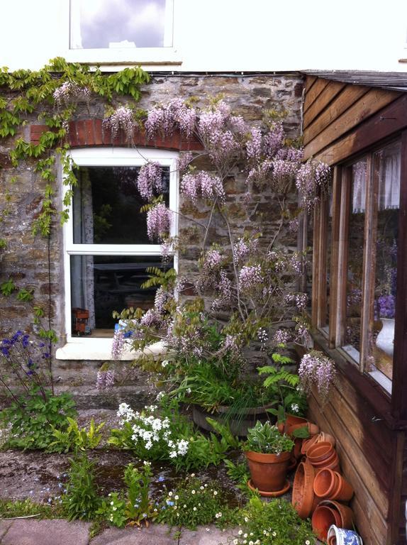 Vine Cottage Penpillick Kültér fotó